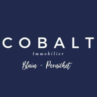 Profile picture for user Cobalt Immobilier